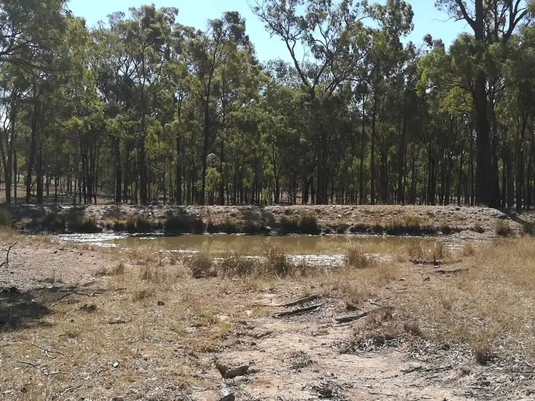 Fifth view of Homely rural property listing, 297 Reedy Creek Road, Thanes Creek QLD 4370