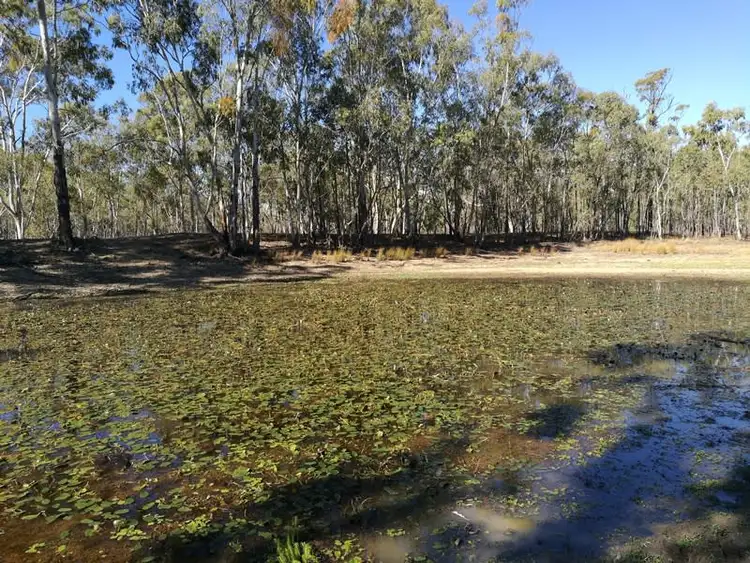 Sixth view of Homely rural property listing, 297 Reedy Creek Road, Thanes Creek QLD 4370
