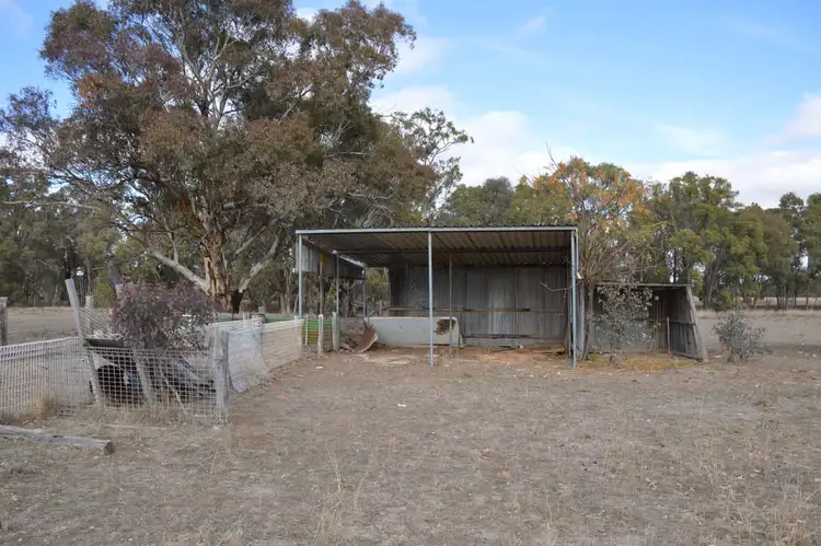 Sixth view of Homely rural property listing, 81 King John Lane, Mudgee NSW 2850