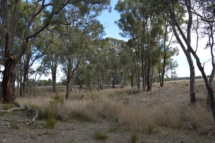 Seventh view of Homely rural property listing, 81 King John Lane, Mudgee NSW 2850