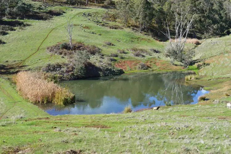 Fifth view of Homely rural property listing, Lot 5 Hearle Rd, Mumballup WA 6225