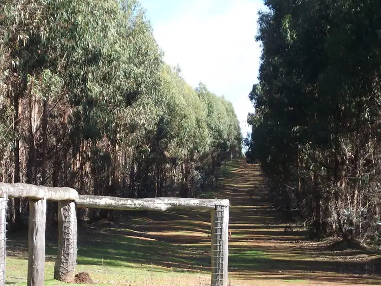 Fifth view of Homely rural property listing, 4159,4160,5234 Seaton Ross Road, Manjimup WA 6258