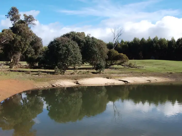 Seventh view of Homely rural property listing, 4159,4160,5234 Seaton Ross Road, Manjimup WA 6258