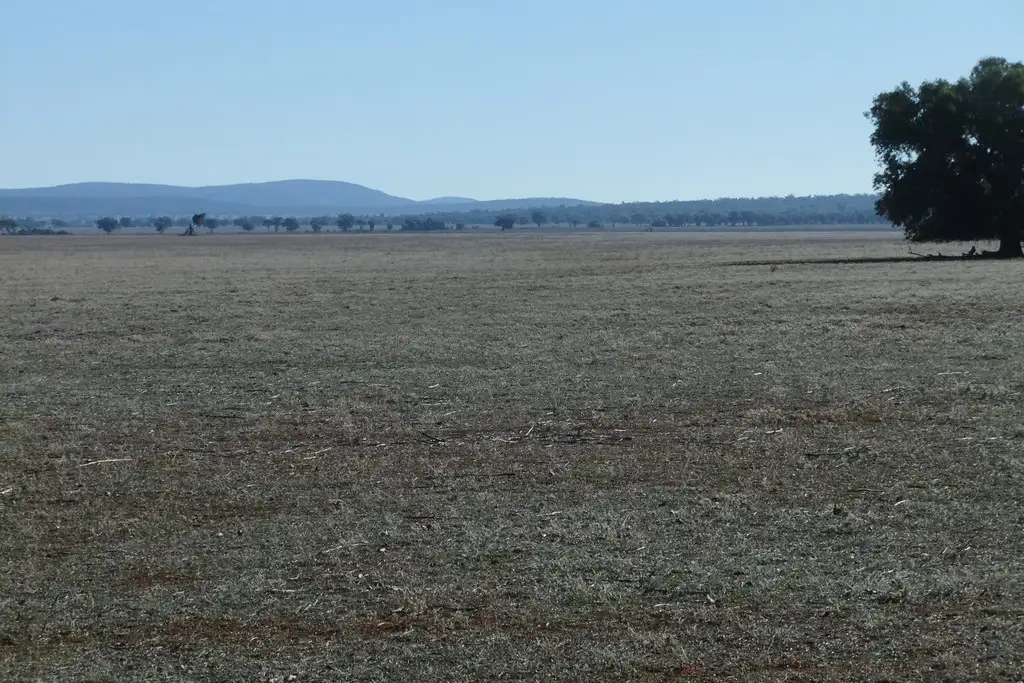 Main view of Homely rural property listing, 1089 O'Keeffes Road, Rankins Springs NSW 2669