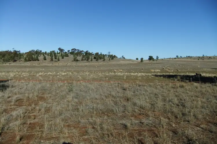 Second view of Homely rural property listing, 1089 O'Keeffes Road, Rankins Springs NSW 2669
