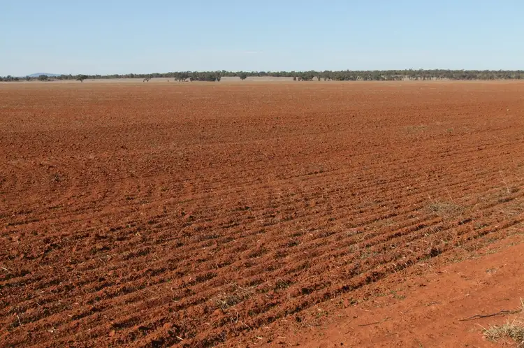 Third view of Homely rural property listing, 1089 O'Keeffes Road, Rankins Springs NSW 2669