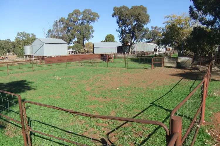 Sixth view of Homely rural property listing, 1089 O'Keeffes Road, Rankins Springs NSW 2669