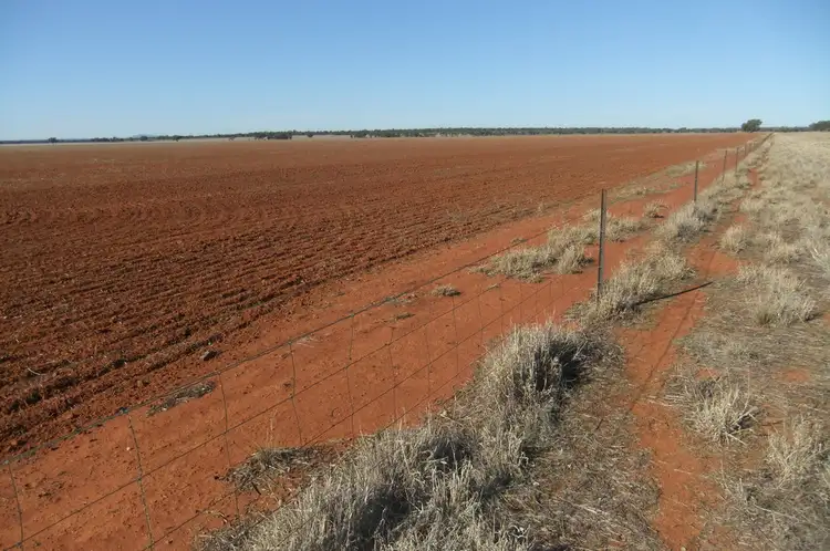 Seventh view of Homely rural property listing, 1089 O'Keeffes Road, Rankins Springs NSW 2669