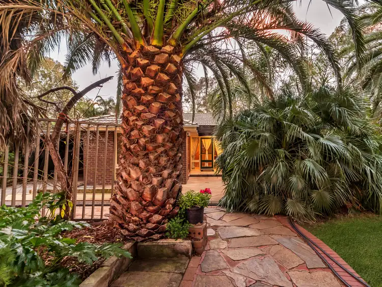 Main view of Homely house listing, 8 Burton Street, Modbury SA 5092