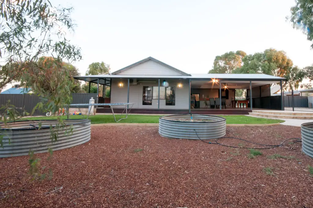 Main view of Homely house listing, 31 Grant Street, Dalwallinu WA 6609