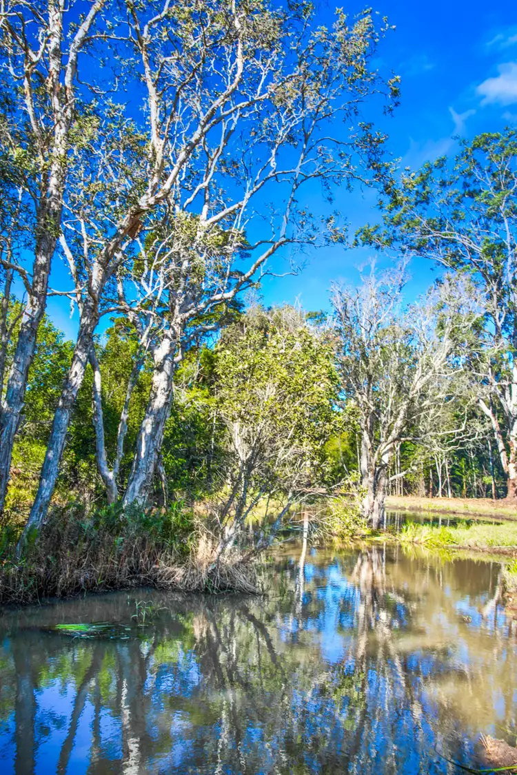 Second view of Homely land listing, Lot 3 Sleepy Hollow Road, Sleepy Hollow NSW 2483