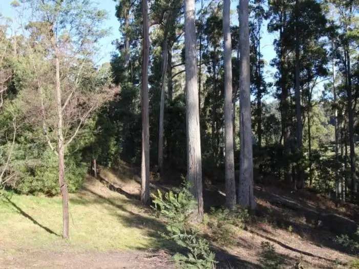 Fourth view of Homely land listing, 2 Gleadow Lane, Acacia Hills TAS 7306