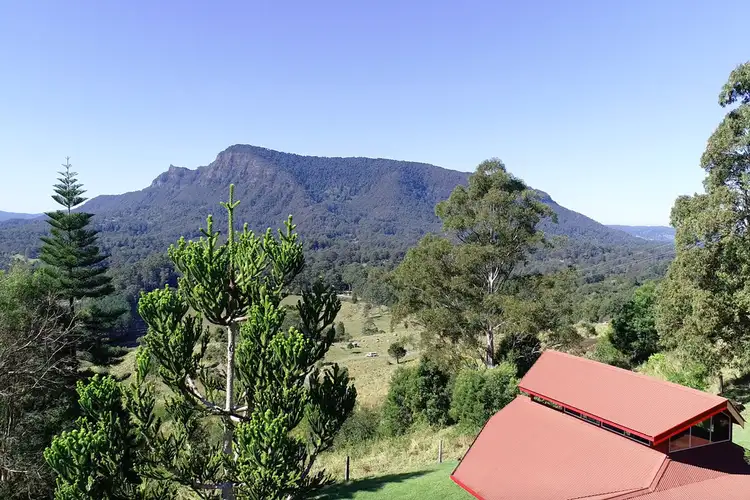 Third view of Homely rural property listing, 4119 Kyogle Rd, Nimbin NSW 2480