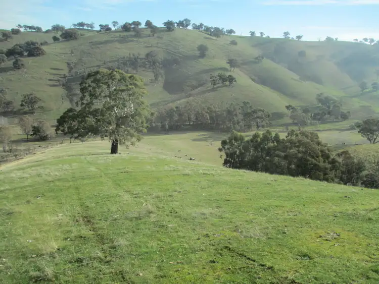 Third view of Homely rural property listing, CA 70B Part of 591 Spring Ck Rd, Fawcett VIC 3714