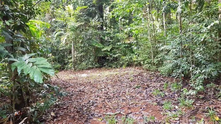 Fifth view of Homely land listing, Lot 8 Buchanan Creek Road, Daintree QLD 4873