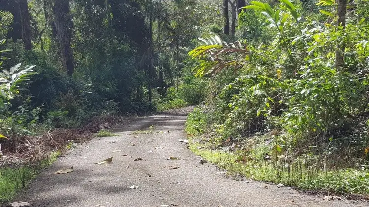 Sixth view of Homely house listing, 63 Old Forest Creek Road, Daintree QLD 4873