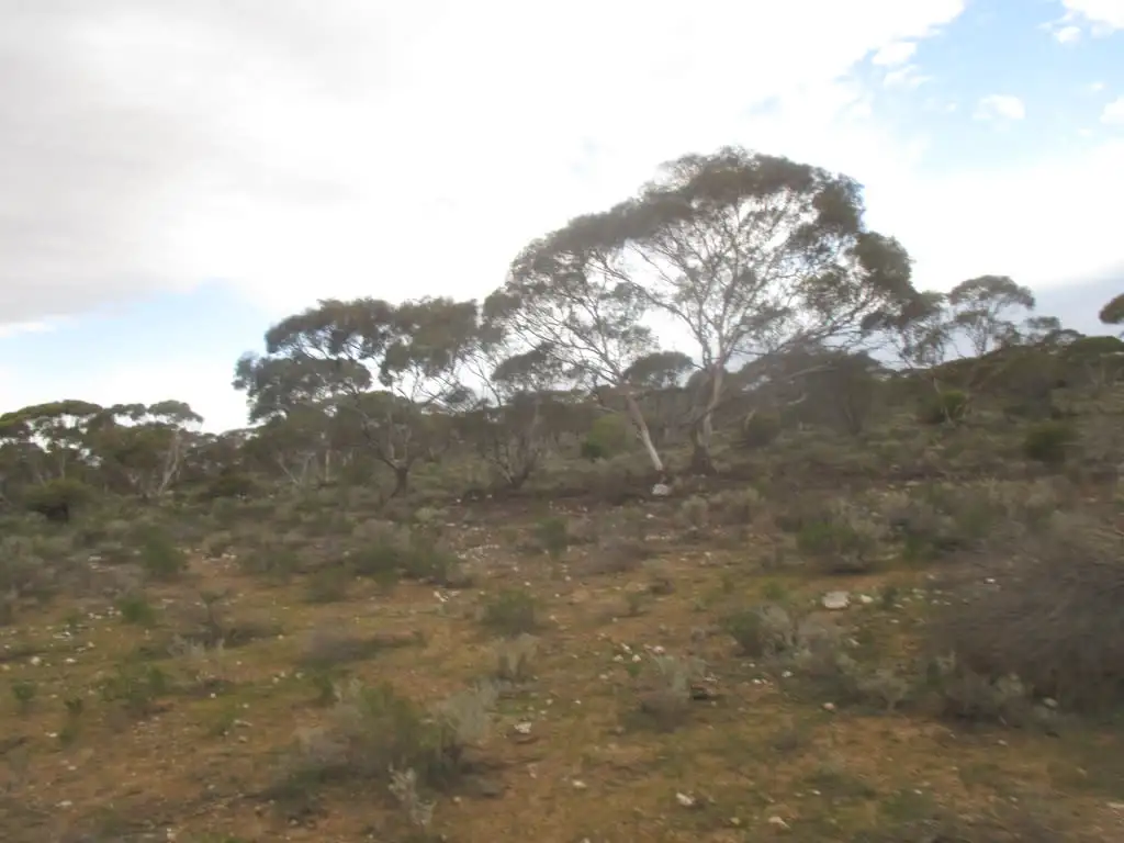 Main view of Homely rural property listing, Lot 4 Stott Highway, Sedan SA 5353