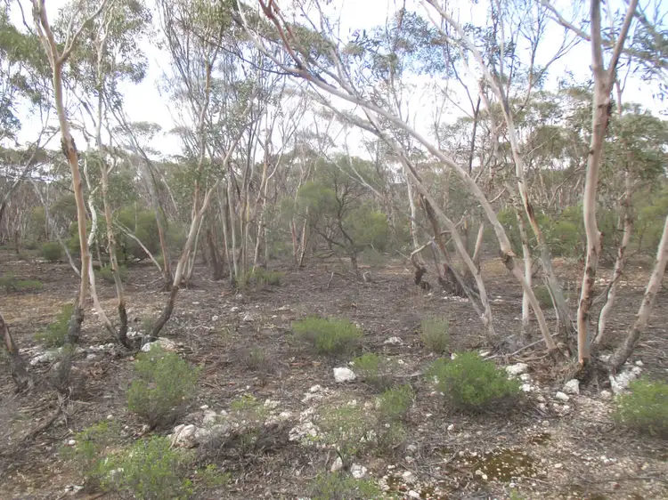 Second view of Homely rural property listing, Lot 4 Stott Highway, Sedan SA 5353