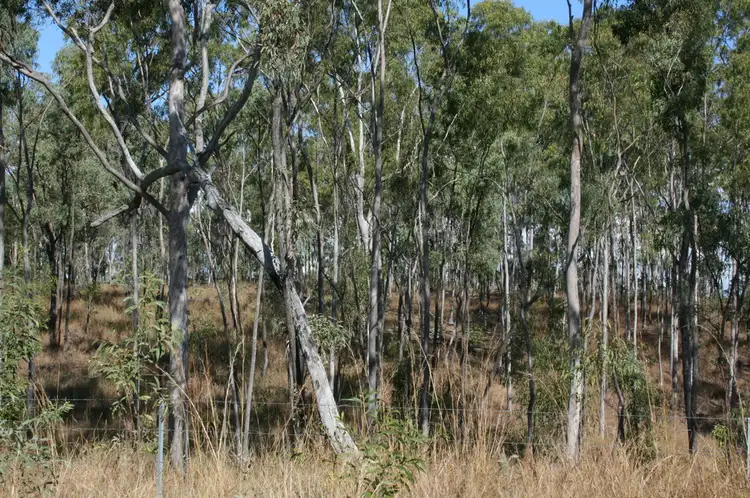 Second view of Homely rural property listing, . Thwaites Road, Iveragh QLD 4680