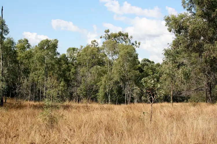 Sixth view of Homely rural property listing, . Thwaites Road, Iveragh QLD 4680