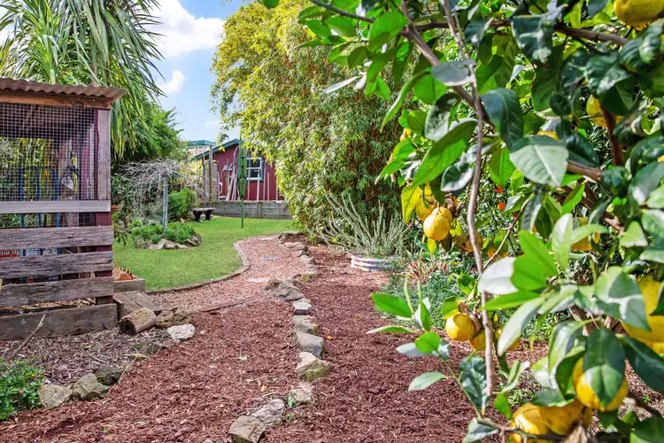 Fifth view of Homely house listing, 187 Princes Highway, Milton NSW 2538