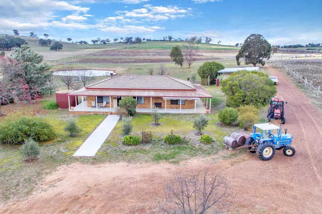 Main view of Homely rural property listing, 800 Castlereagh Highway, Mudgee NSW 2850