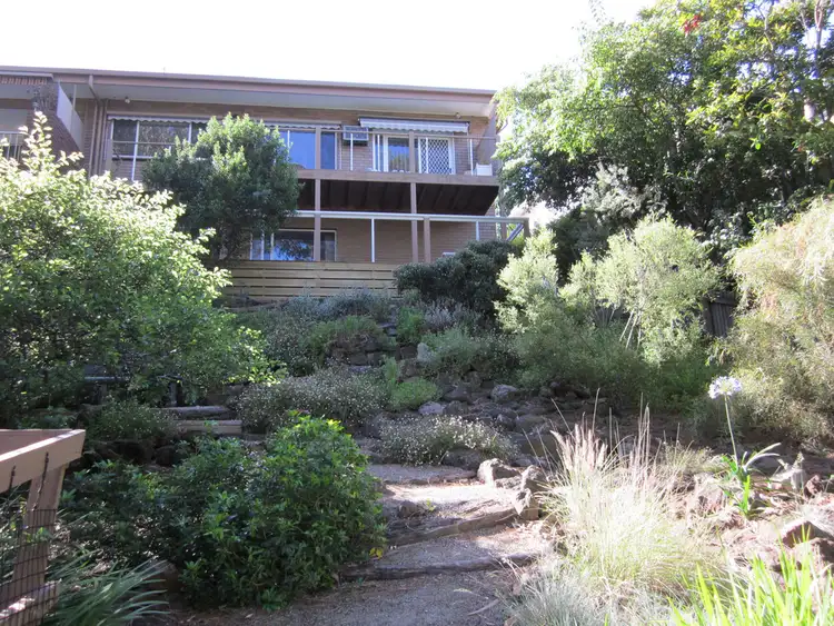 16A Sanglen Terrace, Belmont VIC 3216
