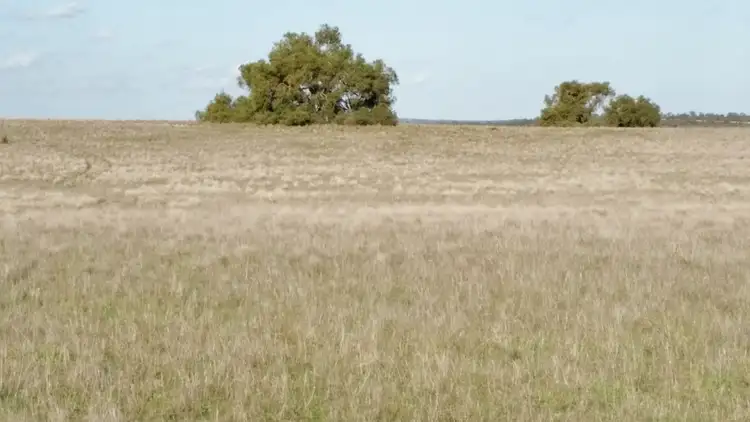 Sixth view of Homely rural property listing, Lot 3 & 4 Winchester South Rd, Carnamah WA 6517