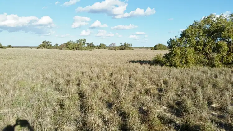 Seventh view of Homely rural property listing, Lot 3 & 4 Winchester South Rd, Carnamah WA 6517