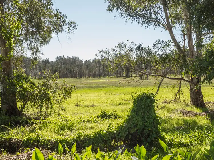 Seventh view of Homely house listing, 823 Kargotich Road, Cardup WA 6122