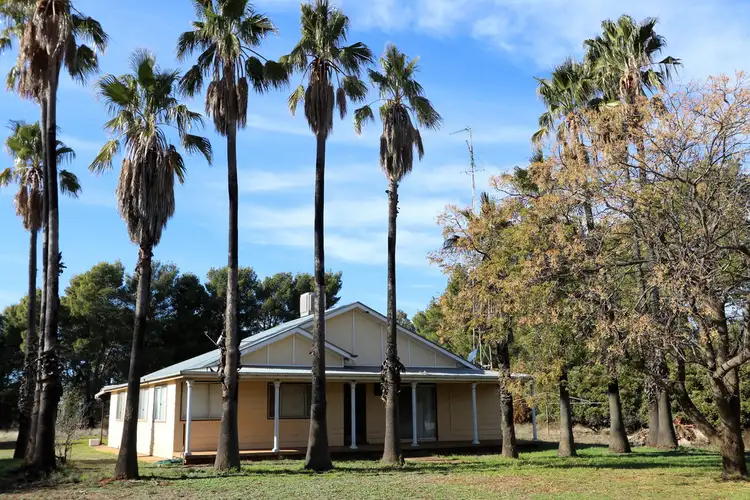 Second view of Homely rural property listing, 275 McMahons Lane, West Wyalong NSW 2671