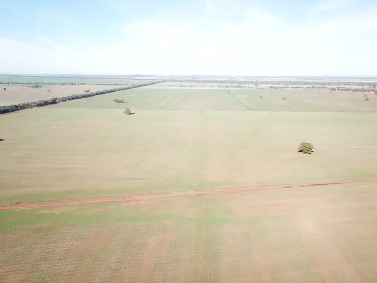 Fifth view of Homely rural property listing, 275 McMahons Lane, West Wyalong NSW 2671