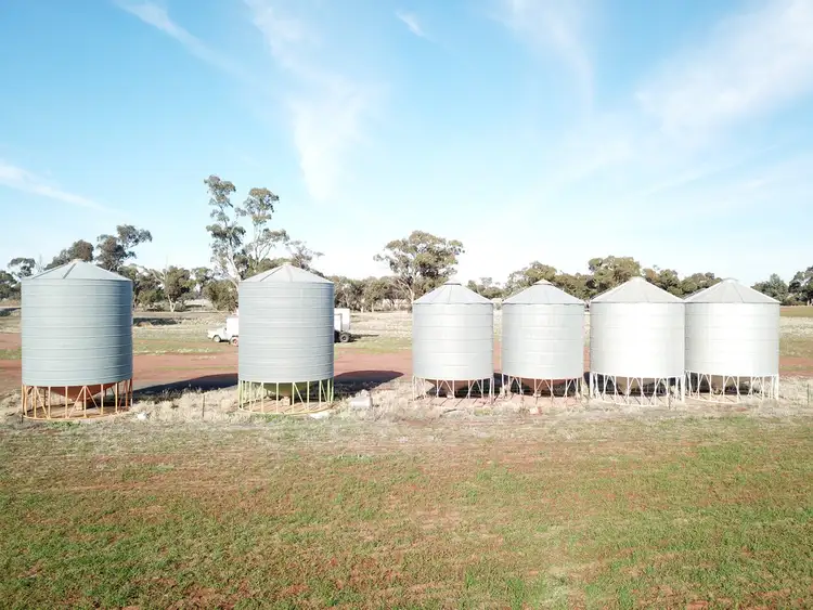 Sixth view of Homely rural property listing, 275 McMahons Lane, West Wyalong NSW 2671