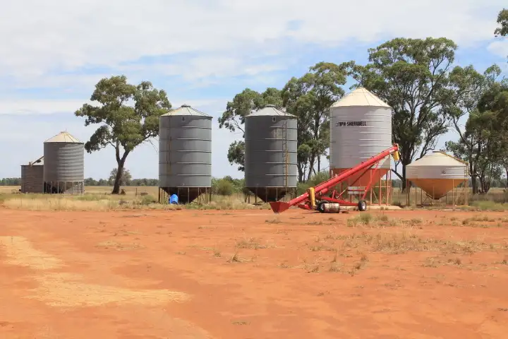 Seventh view of Homely rural property listing, 275 McMahons Lane, West Wyalong NSW 2671
