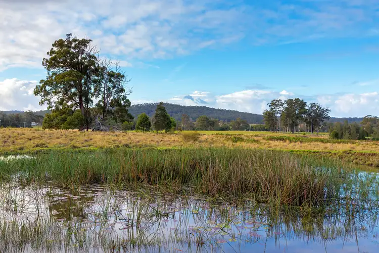 Third view of Homely rural property listing, 15004 Pacific Highway, Nabiac NSW 2312