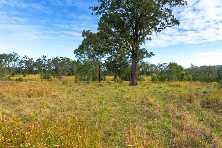 Fourth view of Homely rural property listing, 15004 Pacific Highway, Nabiac NSW 2312