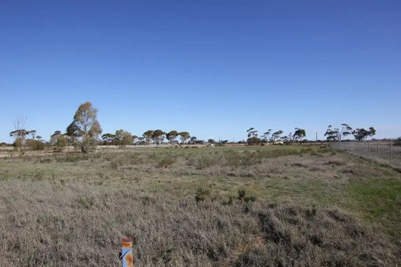 Main view of Homely rural property listing, Lot 15 Insignia Way, Merredin WA 6415