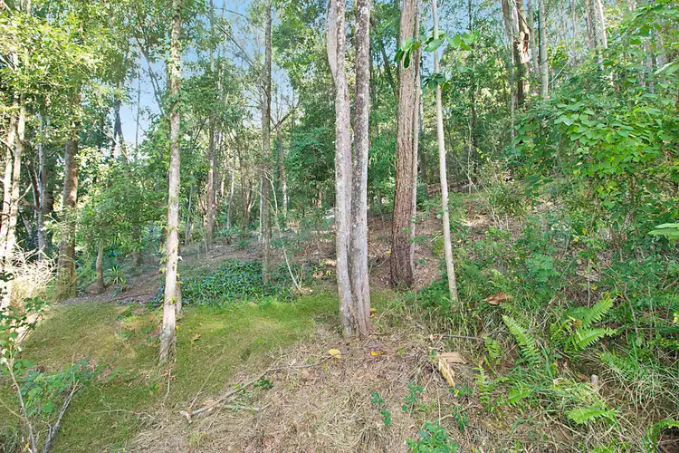 Fifth view of Homely land listing, 148 Broadwater Esplanade, Bilambil Heights NSW 2486