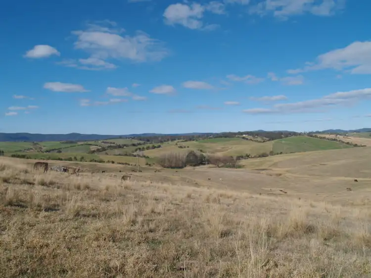 Second view of Homely land listing, Lot 2 Candelo Bega Rd, Candelo NSW 2550