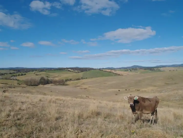 Third view of Homely land listing, Lot 2 Candelo Bega Rd, Candelo NSW 2550