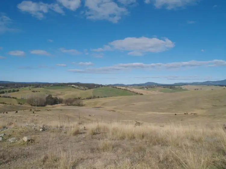 Fifth view of Homely land listing, Lot 2 Candelo Bega Rd, Candelo NSW 2550