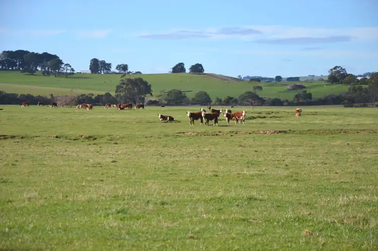 Fifth view of Homely rural property listing, 80 Myers Road, Leongatha VIC 3953