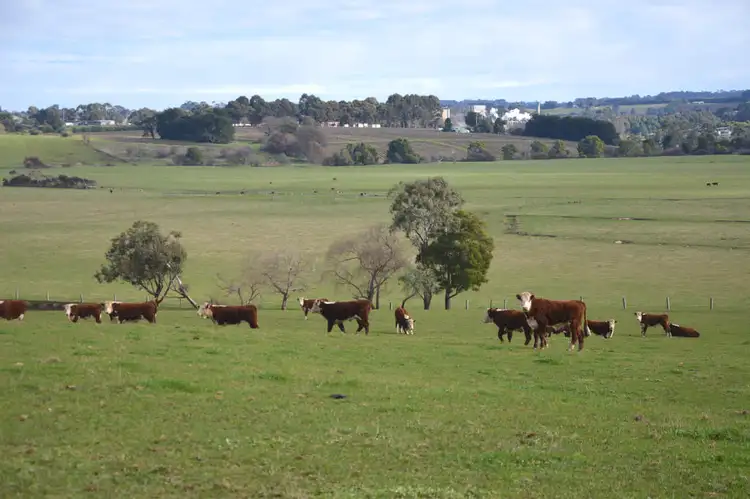 Sixth view of Homely rural property listing, 80 Myers Road, Leongatha VIC 3953