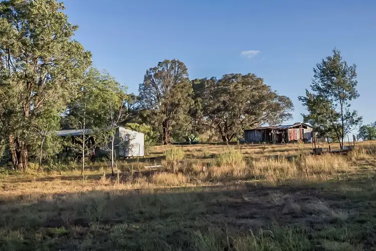 Fifth view of Homely rural property listing, 239 Upper Botobolar Road; Botobolar, Mudgee NSW 2850