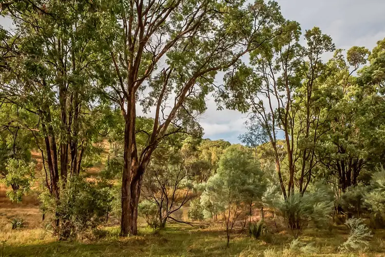Seventh view of Homely rural property listing, 239 Upper Botobolar Road; Botobolar, Mudgee NSW 2850
