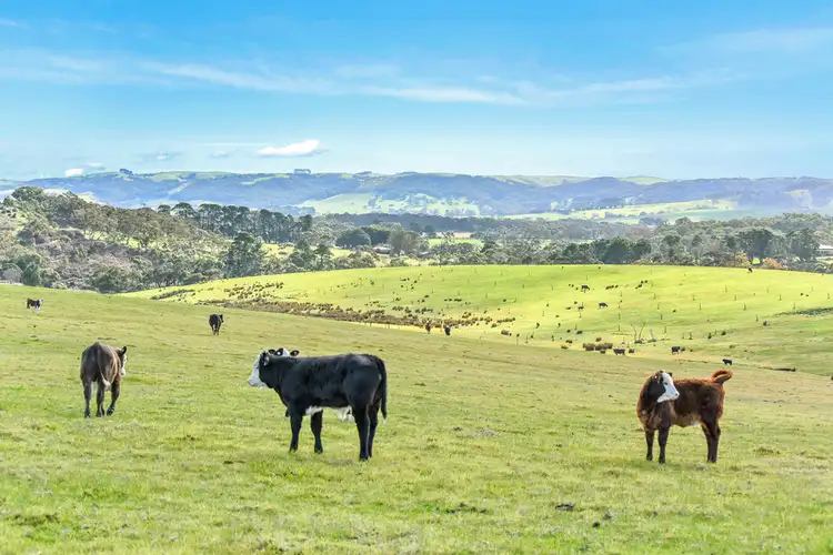 506 Nettle Hill Road, Hindmarsh Valley SA 5211