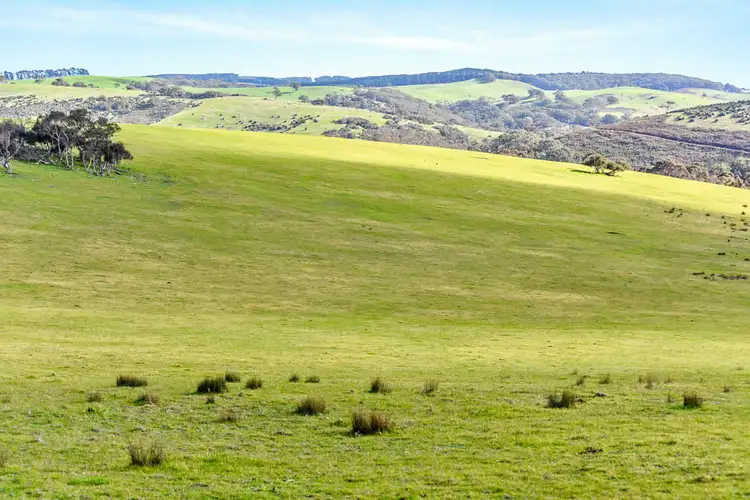 Fifth view of Homely rural property listing, 506 Nettle Hill Road, Hindmarsh Valley SA 5211