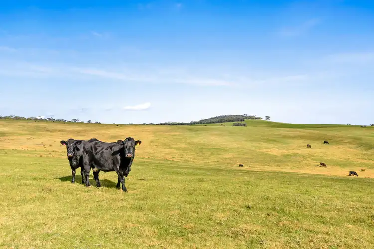 Sixth view of Homely rural property listing, 506 Nettle Hill Road, Hindmarsh Valley SA 5211