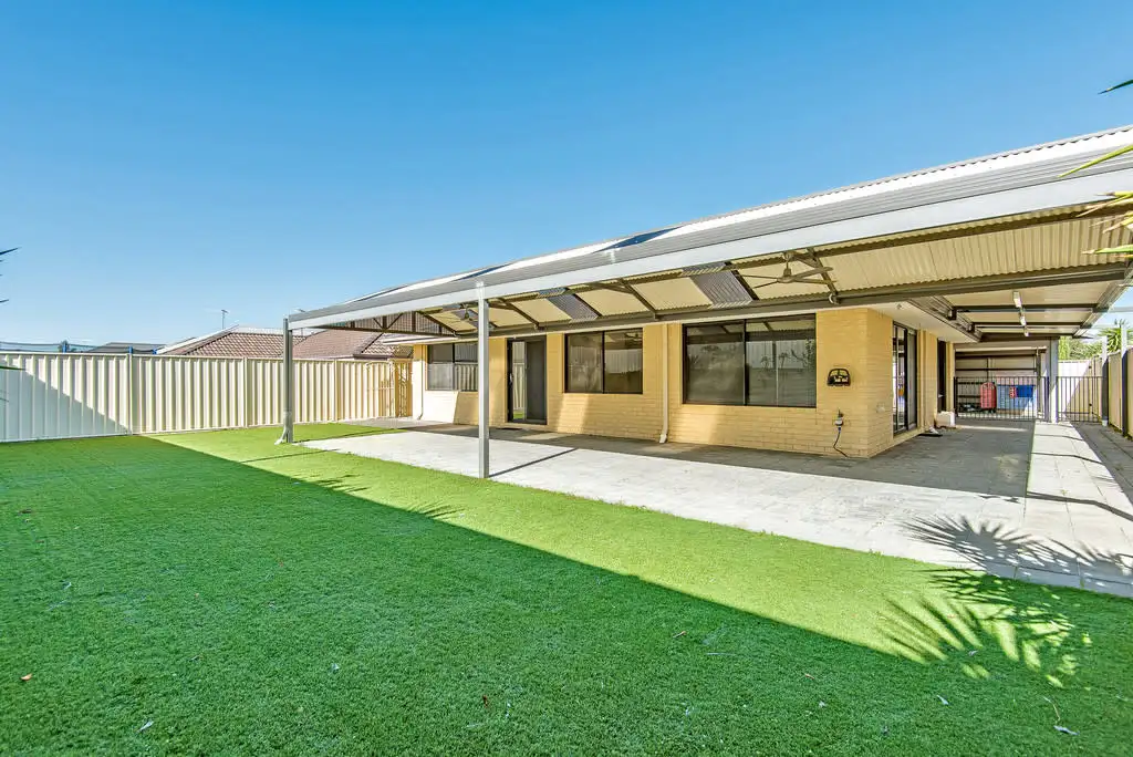 Main view of Homely house listing, 27 Cyandra Loop, Banksia Grove WA 6031