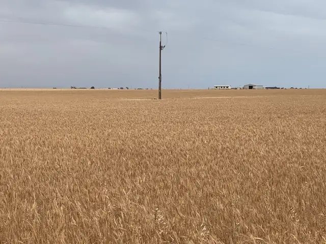 Fifth view of Homely rural property listing, 233 Port Parham Rd, Dublin SA 5501